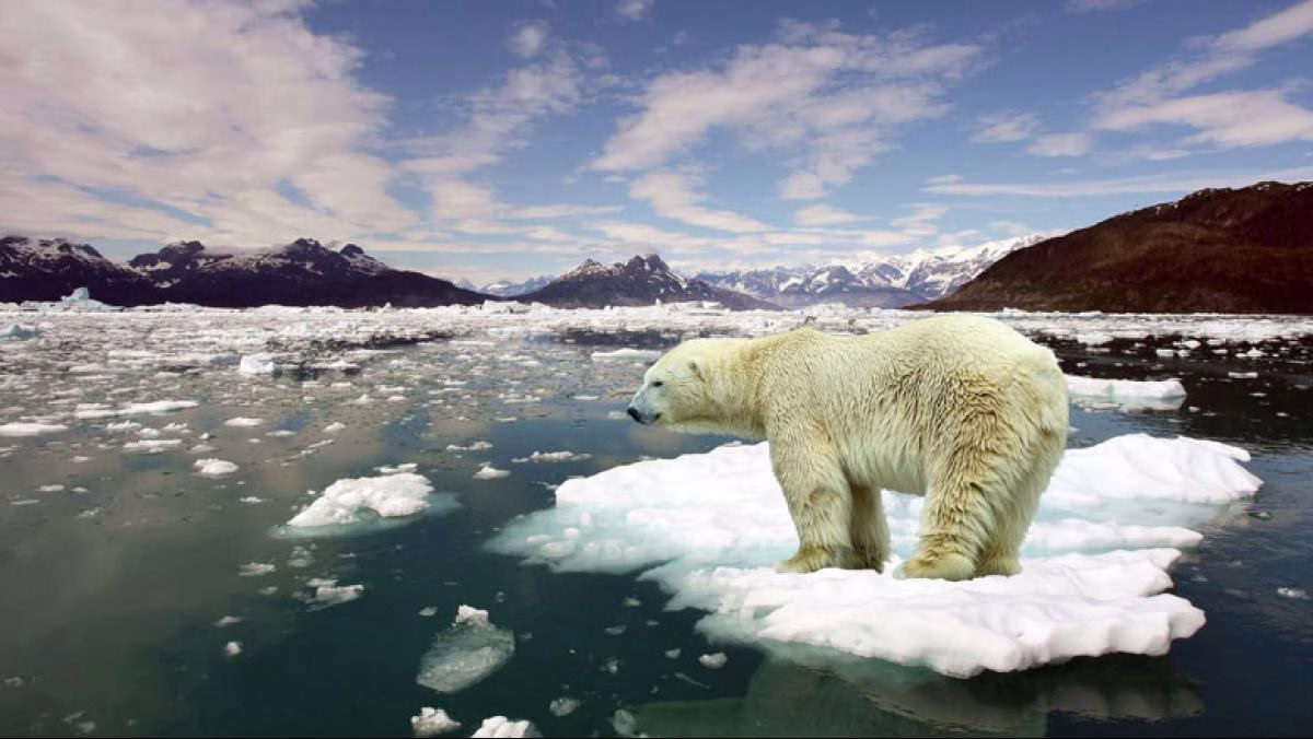 Climate Change Policies Around the World